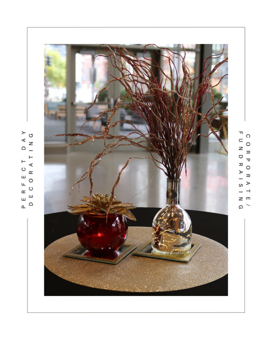 Corporate/Fundraising Gallery