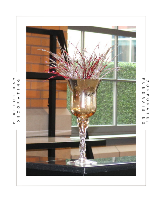 Corporate/Fundraising Gallery