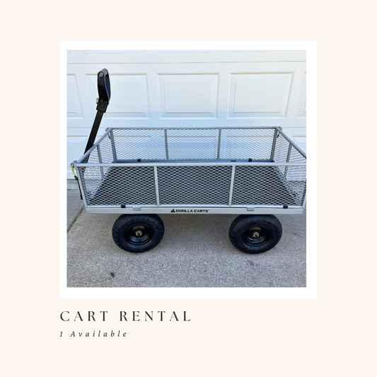 Cart Rental